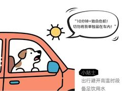 -瑞派天使宠物医院·神经外科·骨科·核磁(洛川中路店)