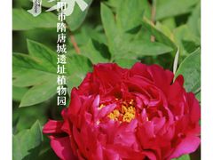 -洛阳市隋唐城遗址植物园