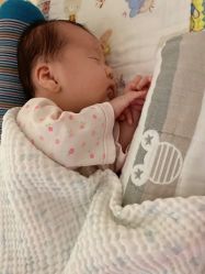 -海豚湾高端月子会所(黄浦店)