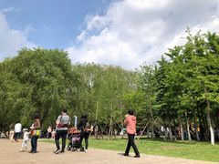 -长白岛森林公园