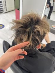 -GANO HAIR 
