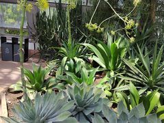 -北京植物园-展览温室