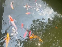 -江宁织造博物馆