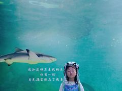 -常州海昌海洋探索馆