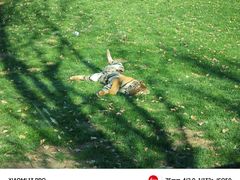 -北京野生动物园