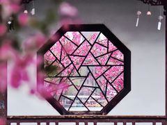 -莫愁湖公园