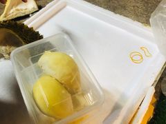 -三亚新鸿港水果一级批发市场