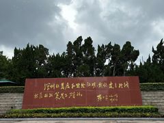 -莲花山公园