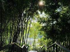 -云溪植物园