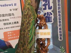 -浙江自然博物院(杭州馆)