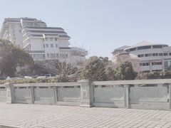 -天乐农家鱼头王(天目湖店)