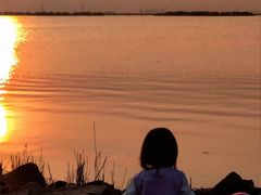 -漕湖湿地公园