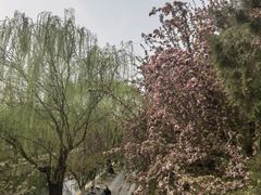 -元大都城垣遗址公园