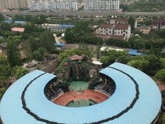 -野生动物园-停车场