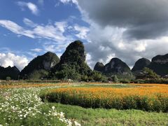 -靖西鹅泉风景区