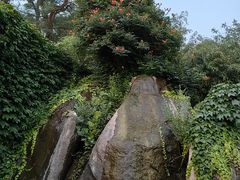-烟台山景区