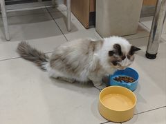 -美迦爱-牙专科·兔科·骨科诊疗中心(北苑店)