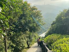 -梧桐山风景名胜区