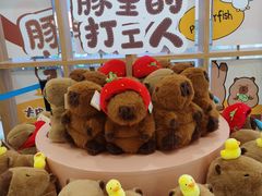 -凯德MALL(西直门店)