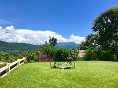 -黄色小屋