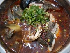 -风鑫铃罗非鱼(道沟店)