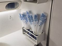 -新加坡航空公司(ION)