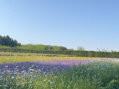 -富田农场