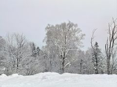 -中旅松花湖滑雪场