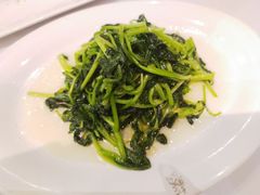 清炒鸡毛菜-苏浙汇(北京英蓝店)