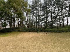-墨居上隐·院子里火锅(峨眉店)