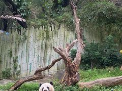 -广州长隆野生动物世界