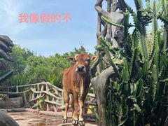 -长鹿旅游休博园