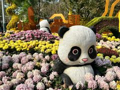 -南山植物园