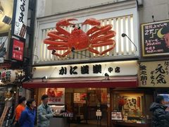 -蟹道乐(道顿堀本店)