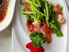 -云中小雅