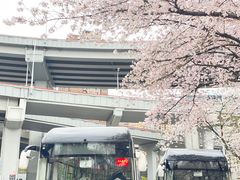 -南浦大桥长途旅游客运站