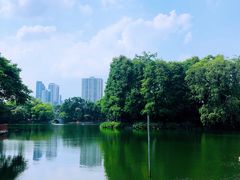 -荔湾湖公园