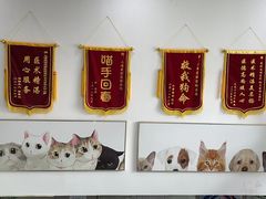 -爱侣宠医·鹦鹉专科·小型哺乳类·异宠专科(灵石路店)