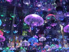 -梵高星空艺术馆(北京旗舰店)