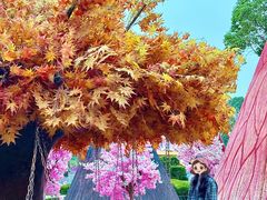-国色天乡三期陆地乐园