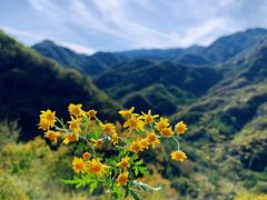 -北京密云天门山风景区