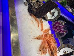 -加餐海鲜自助(集美银泰百货店)