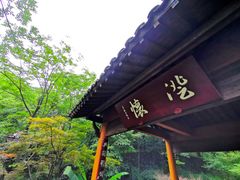 -中国茶叶博物馆(双峰馆区)