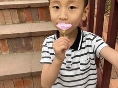 -陈炉古镇