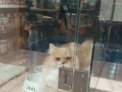 -FAELING PETS美天灵宠物(富力广场店)