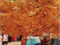 -清远恒大酒店·寻味清远