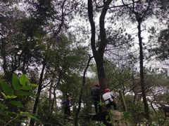 -芦仙山景区-飞越丛林探险乐园