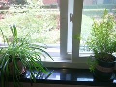 -若石足道SPA 连锁(丹东街店)