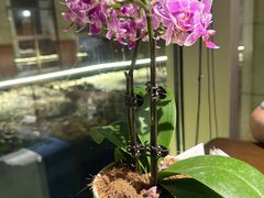 -YUNHE秐合· 雅致浙宴(西溪店)