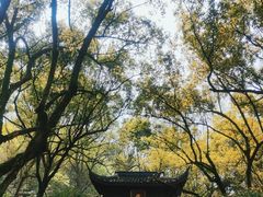 -虎跑公园